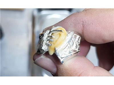 Men's Elk Ivory or Elk tooth ring