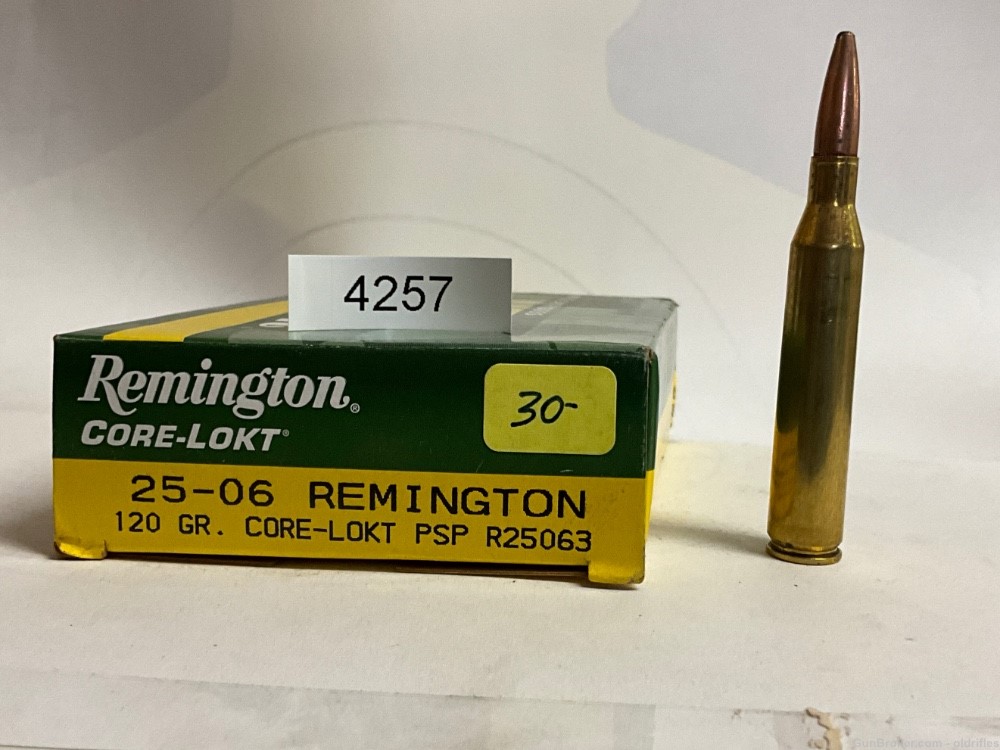25-06 By Remington 120 Grain PSP-img-0