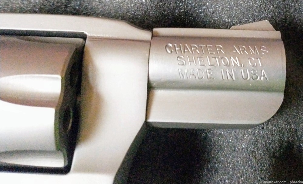Charter Arms Pathfinder 22WRF -img-3