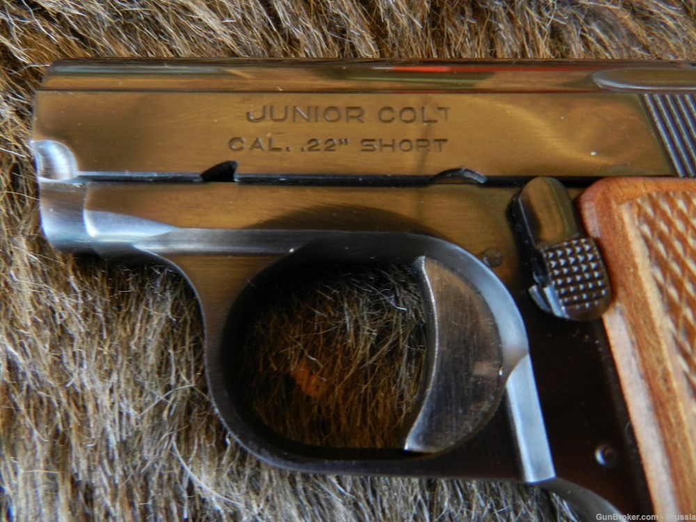 Colt Junior Colt 22 Short 2 1/8" Blue NIB-img-3