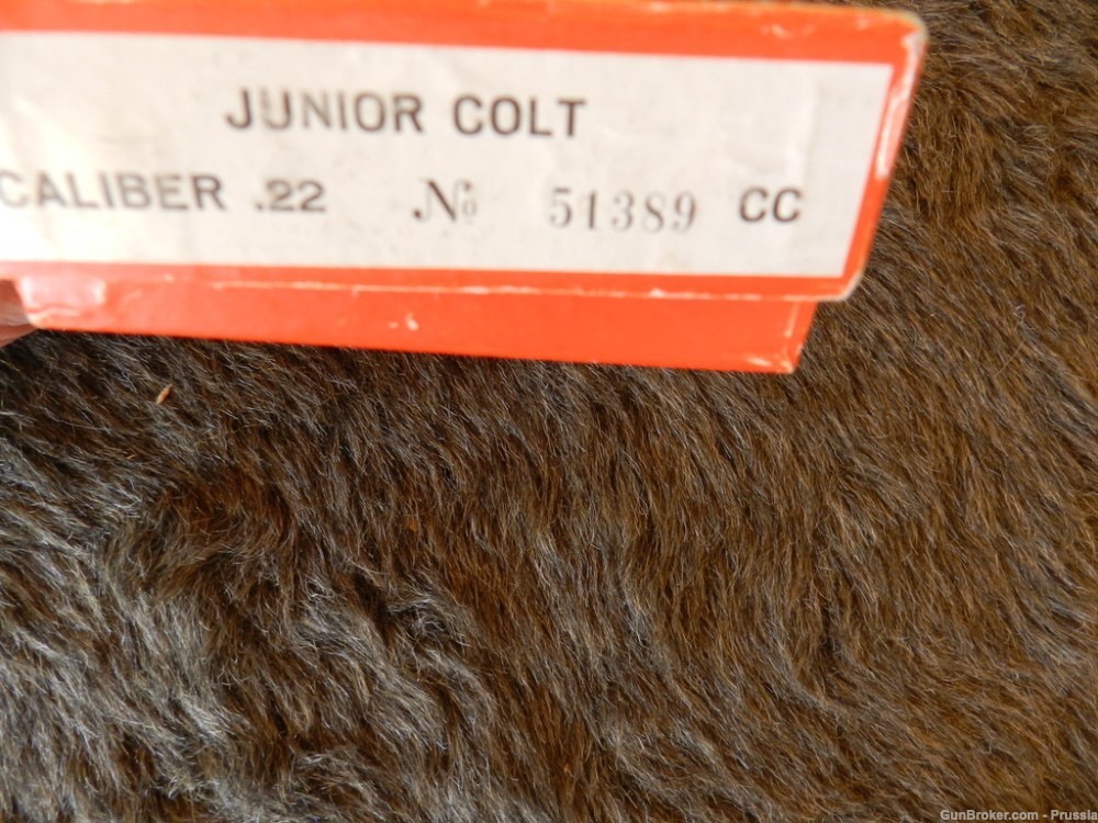 Colt Junior Colt 22 Short 2 1/8" Blue NIB-img-13