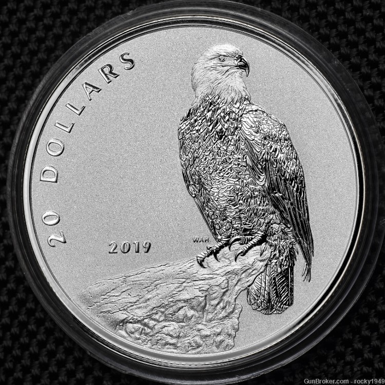 2019 -Canada $20 - 1 oz .9999 silver Valiant Eagle coin-img-0