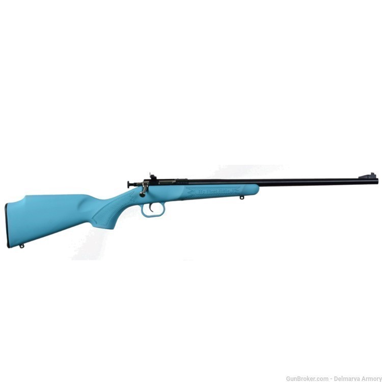 Crickett Rifle Blue Synthetic-img-0
