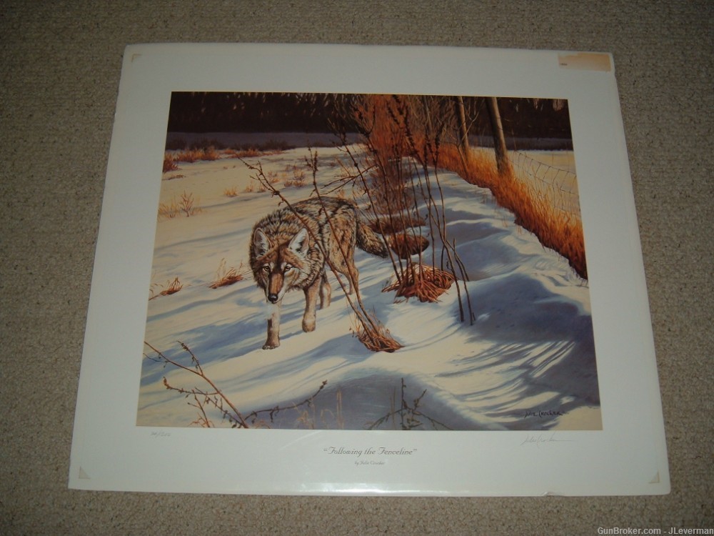 New Wildlife Coyote Print by Julie Crocker Signed Numbered Limited Edition-img-0