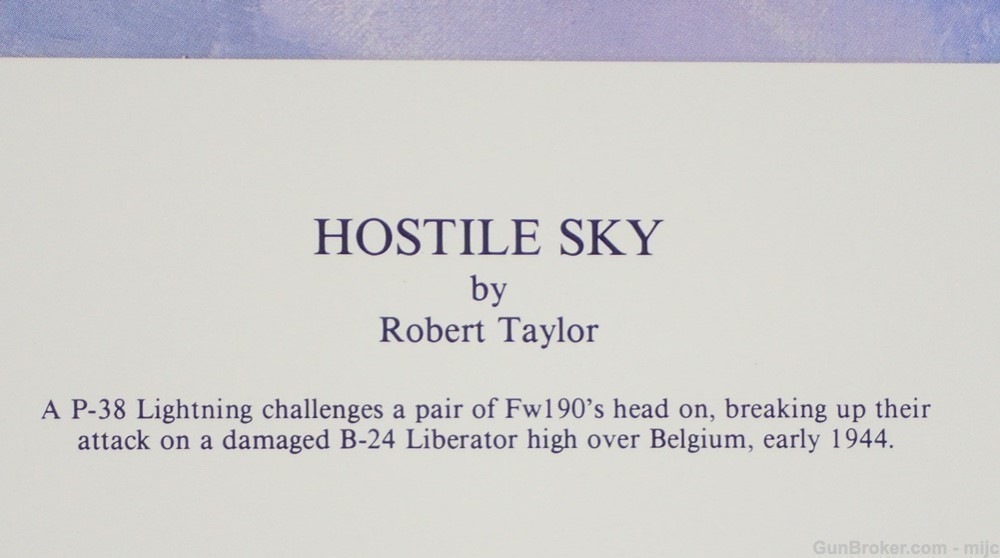 Hostile Sky ROBERT TAYLOR Ltd Ed with COA WWII Aviation Print P 38 B 24 -img-11