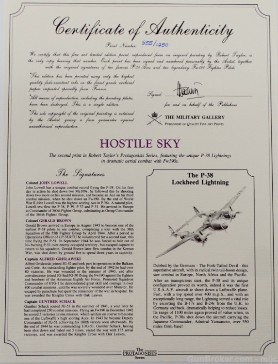 Hostile Sky ROBERT TAYLOR Ltd Ed with COA WWII Aviation Print P 38 B 24 -img-5