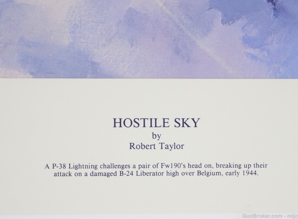 Hostile Sky ROBERT TAYLOR Ltd Ed with COA WWII Aviation Print P 38 B 24 -img-4