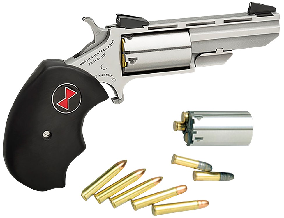 North American Arms BWC Black Widow  22 LR,22 Mag 5rd 2 Overall Stainless S-img-0