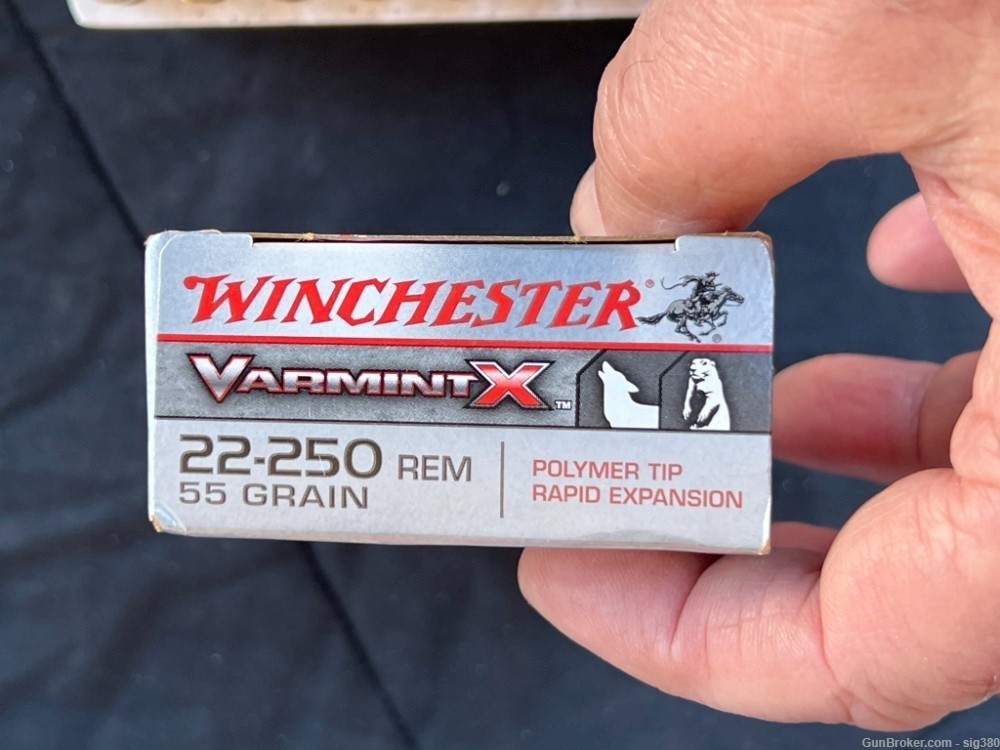 WINCHESTER SUPER X 22-250 REM, 55GR, POLYMER TIP AMMO-img-5