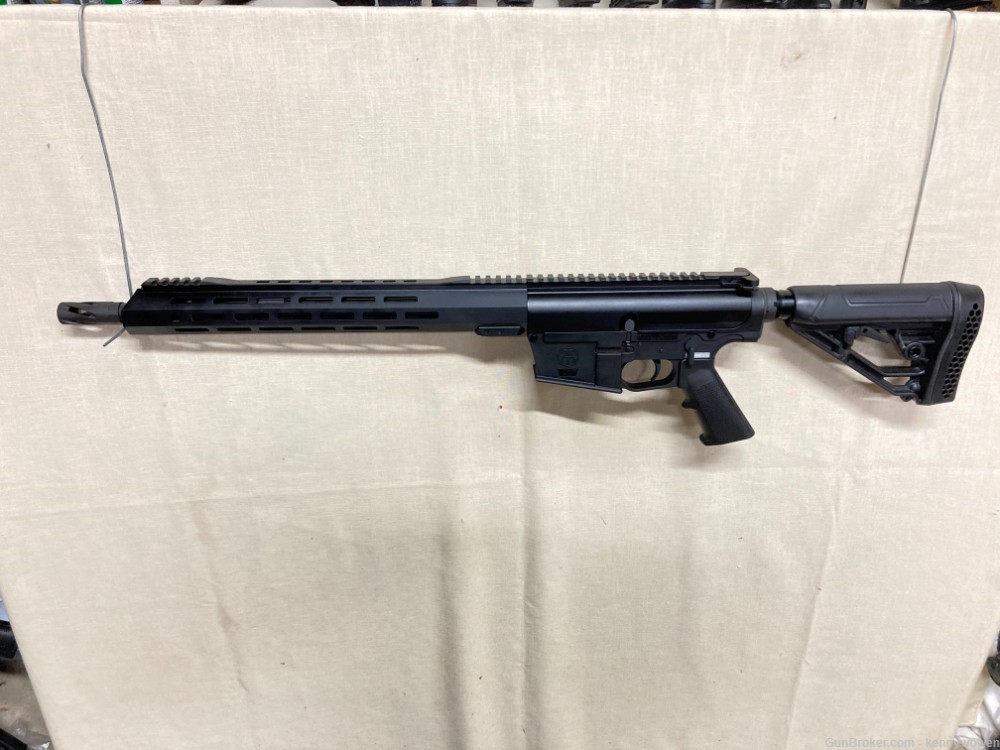 AR-10 AR308 Custom Tennessee Arms .308 16" MLOK-img-1