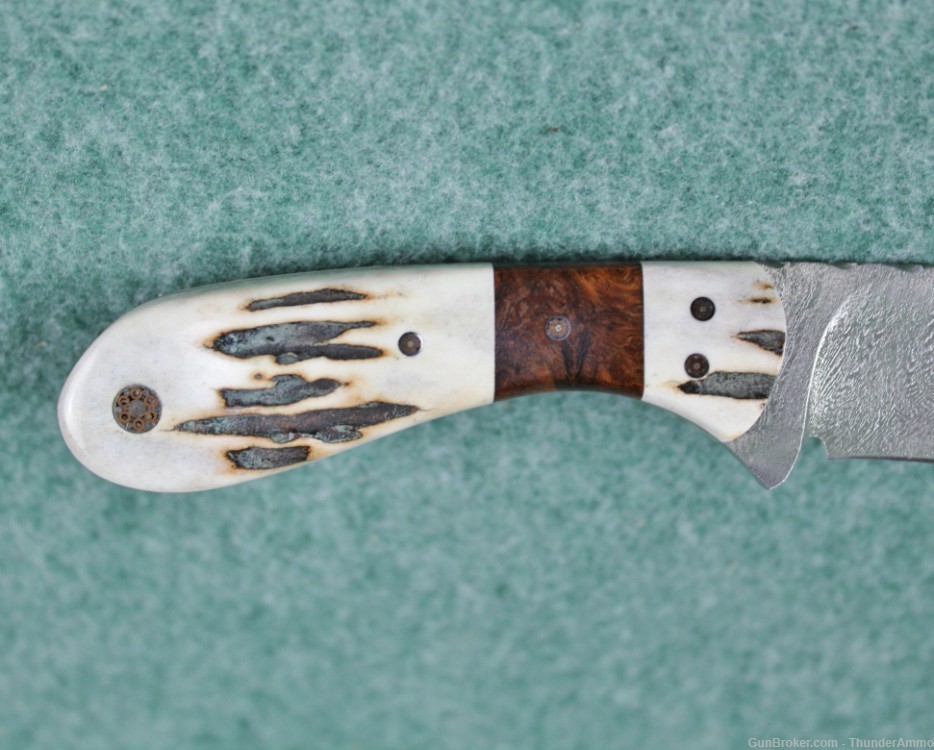 CJ Custom Fixed Blade Damascus Steel Knife Stag Handle w/ Leather Sheath-img-3