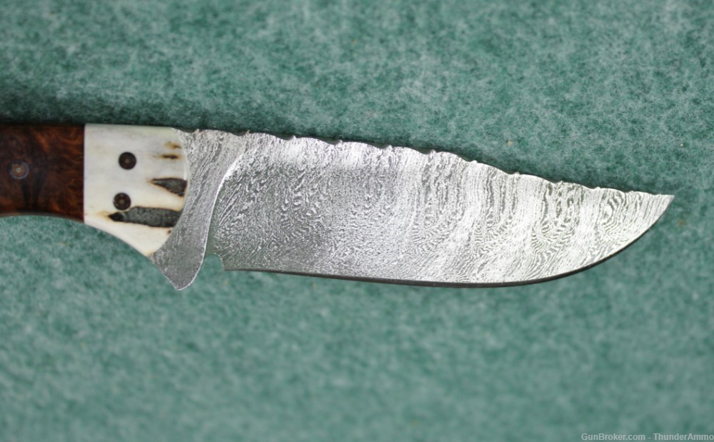 CJ Custom Fixed Blade Damascus Steel Knife Stag Handle w/ Leather Sheath-img-2