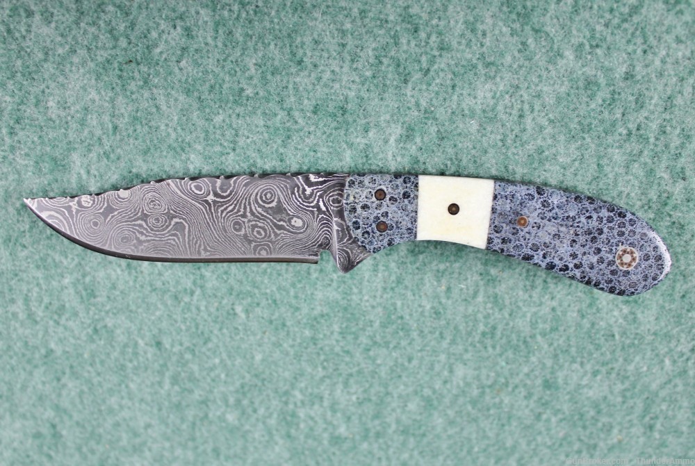 CJ Custom Fixed Blade Damascus Steel Knife Coral Handle w/ Stingray Sheath-img-3