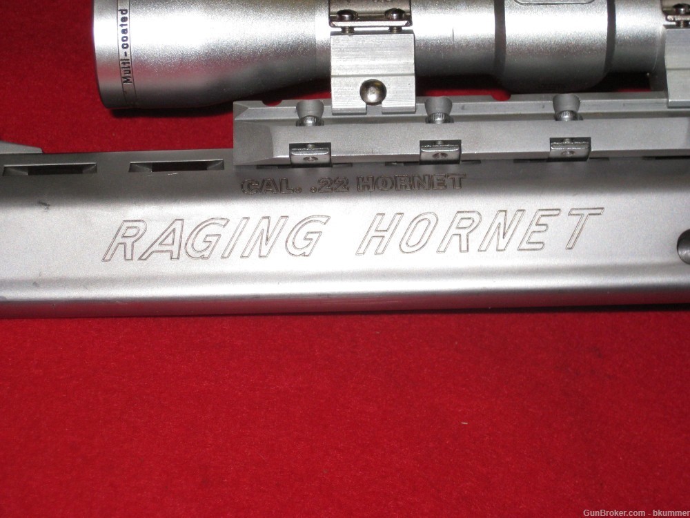 Taurus Raging Hornet -img-5
