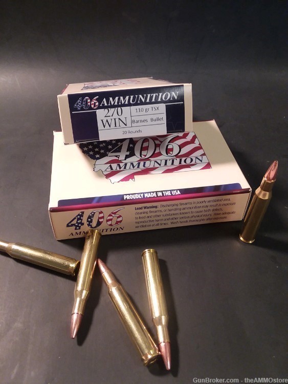 270 Win 110 gr Barnes TSX New Loaded Ammo 20 count box -img-0