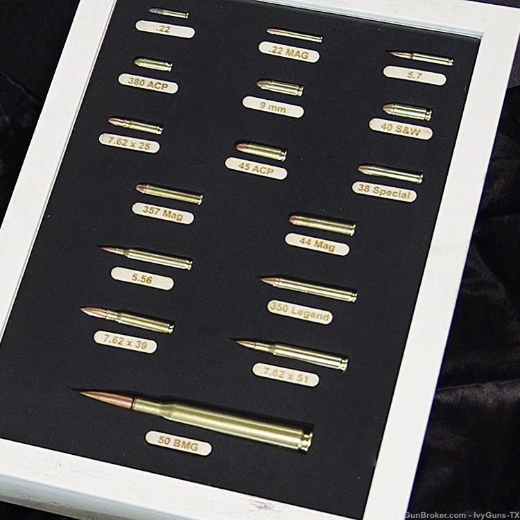 Ammo Display Case (with ammo) - Best Gift for Any Occasions -img-4