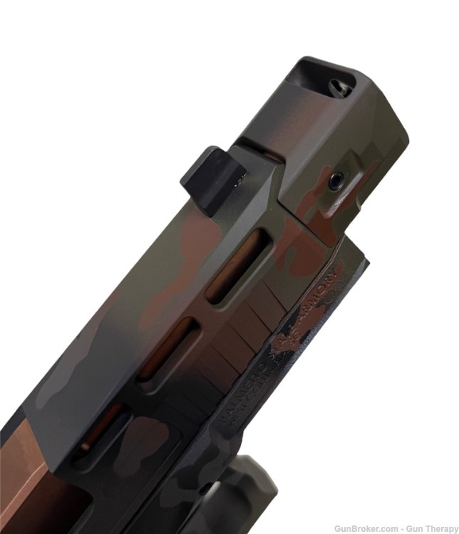 PSA Dagger S custom Cerakote camo, 2 mags, Holosun HS507C, Timney trigger-img-2