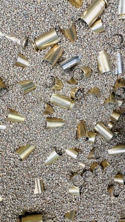 1,000+ Cleaned and Polished 40 S&W Brass-img-2