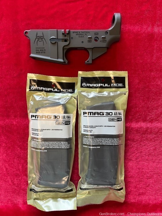 Spikes Tactical Stripped Lower + 2 (30) Round Magpul Magazines Black-img-0