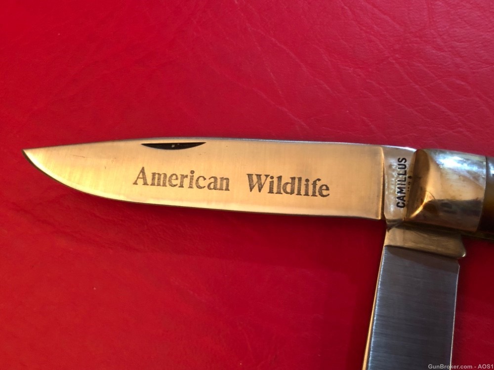Vintage Camillus USA 10F Bugling Elk American Wildlife Series Pocket Knife -img-9