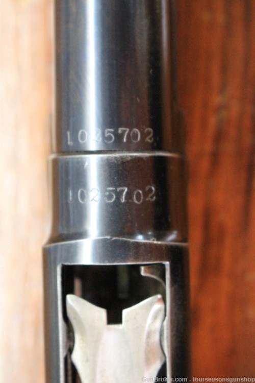 Winchester Model 12  -img-2