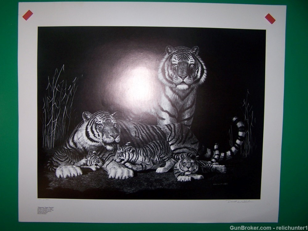 Tiger fine Art Signed  Lithograph New old stk-img-8