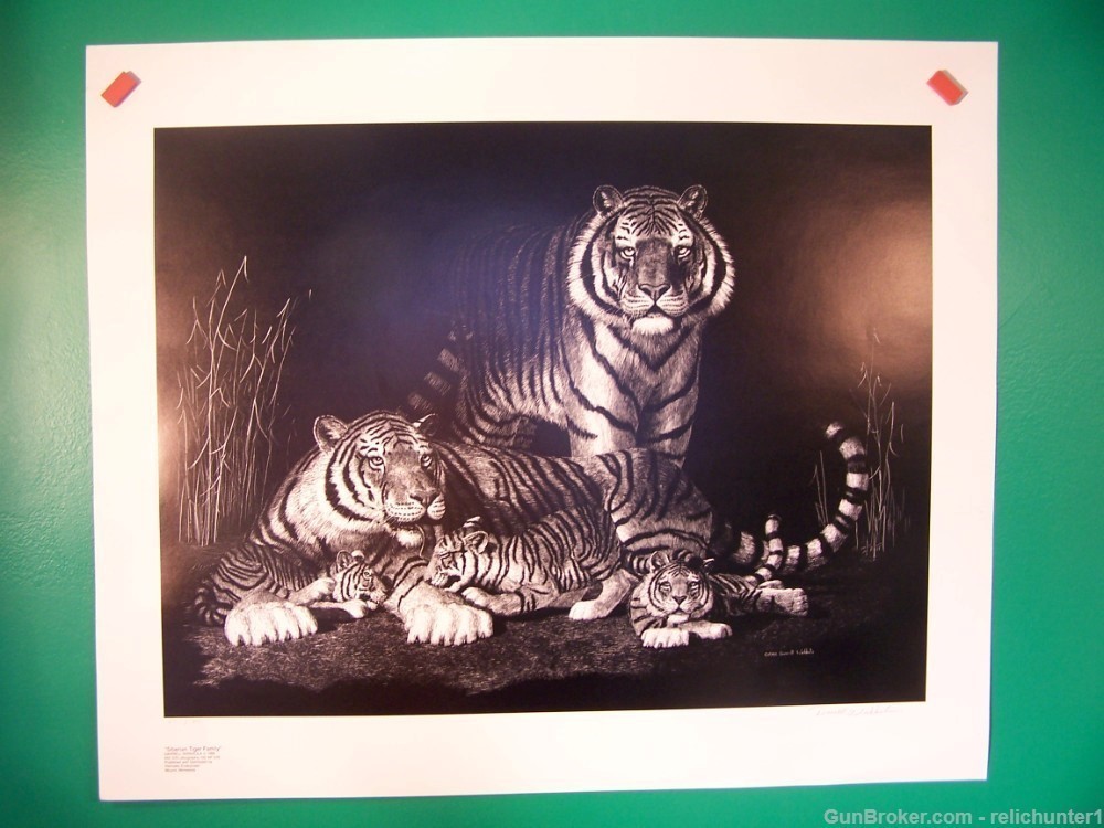 Tiger fine Art Signed  Lithograph New old stk-img-9