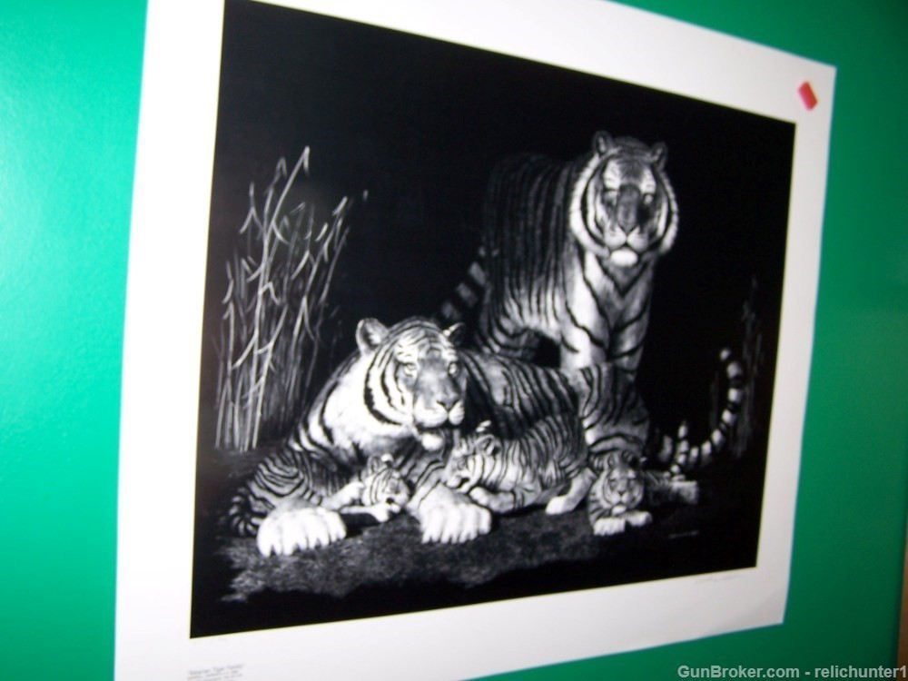 Tiger fine Art Signed  Lithograph New old stk-img-10