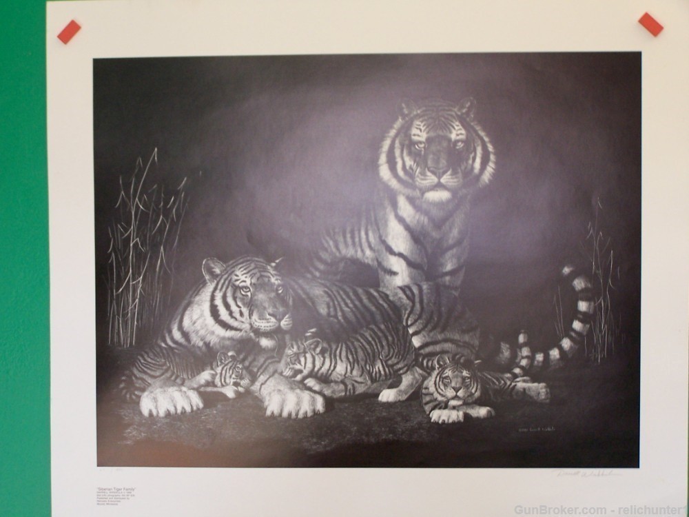 Tiger fine Art Signed  Lithograph New old stk-img-5