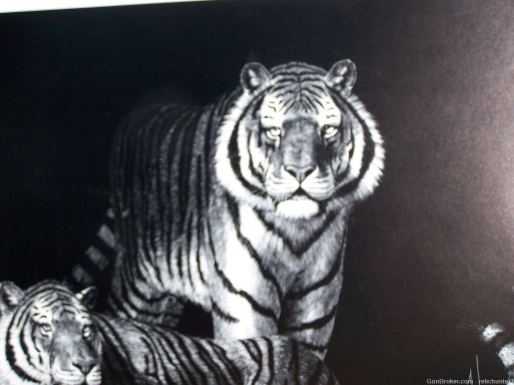 Tiger fine Art Signed  Lithograph New old stk-img-1