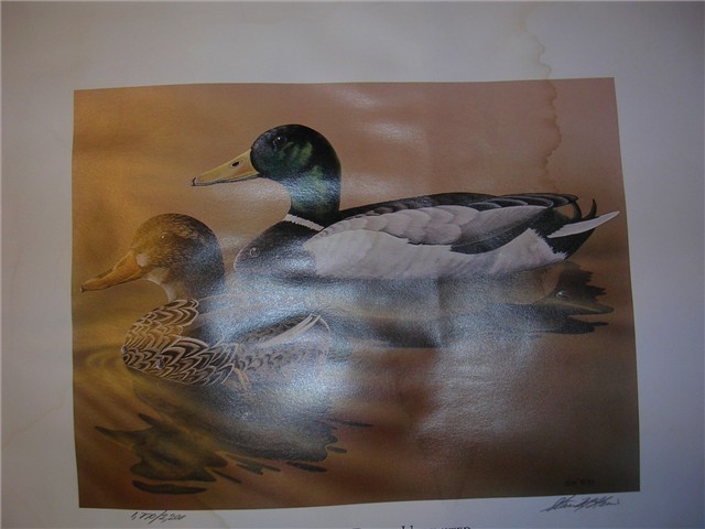 3 Ducks Unlimited Prints, two 1986 & one 1993-img-2