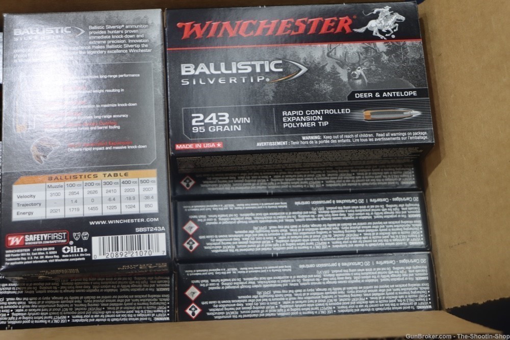 Winchester SILVERTIP Rifle Ammunition 243 Win 200RD AMMO CASE LOT 95GR -img-2