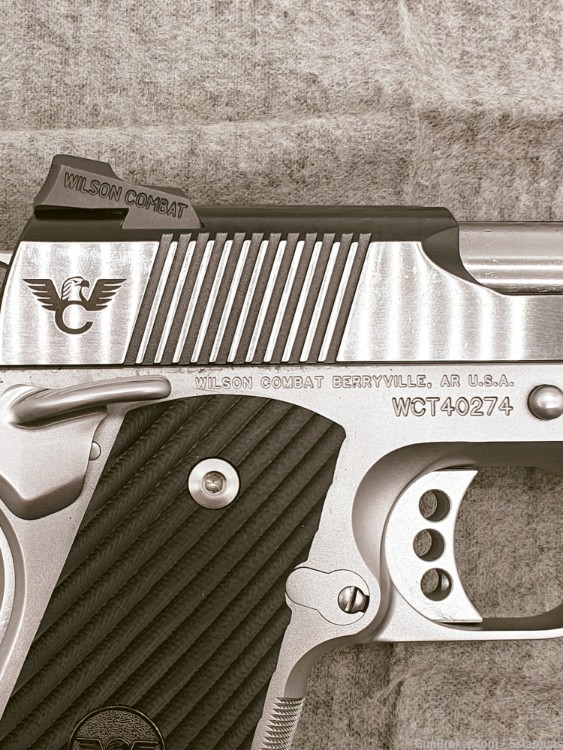Wilson Combat Elite Professional 9mm Luger 2 Mags and Case-img-6