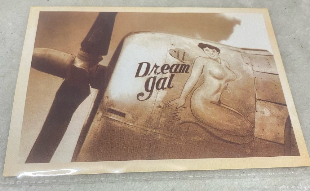 Dream Gal Airplane Decal Vintage Style Postcard-img-0