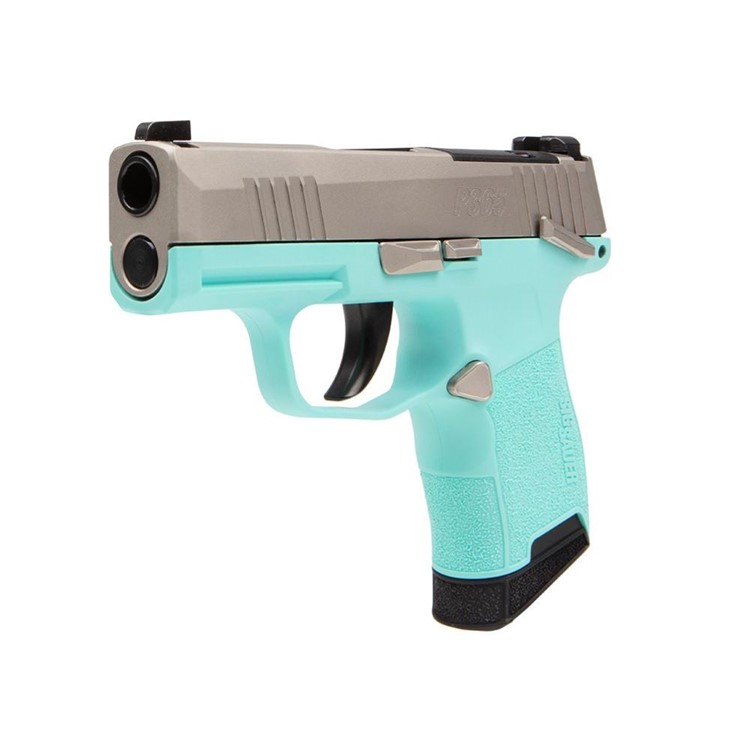 SIG SAUER P365-380 3.1in 2x10rd Mags Robin's Egg Blue Pistol 365-380-REB-MS-img-1