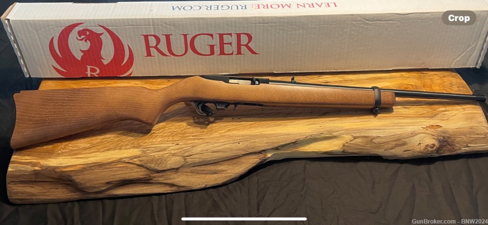 Ruger 10/22 (NEW)-img-0
