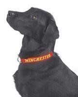 Winchester 12" Dog Collar-------------------------F-img-0