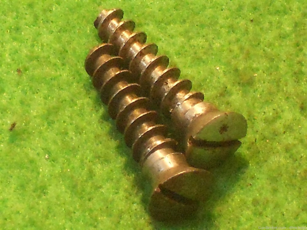 Two Argentine Mauser 1891 or 1909 Buttplate Screws-img-2