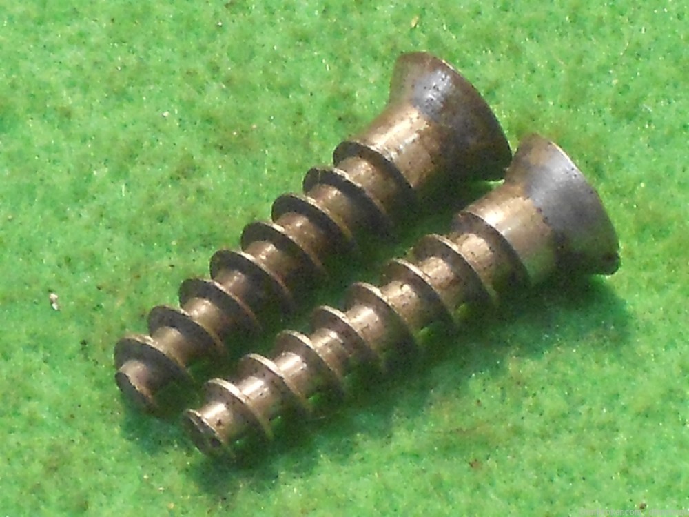Two Argentine Mauser 1891 or 1909 Buttplate Screws-img-5