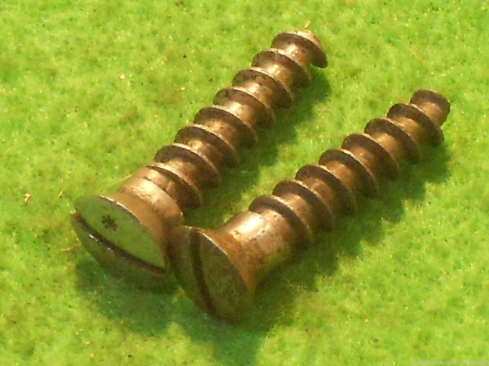 Two Argentine Mauser 1891 or 1909 Buttplate Screws-img-4