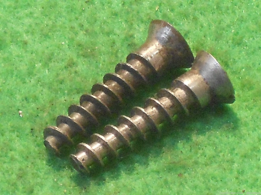 Two Argentine Mauser 1891 or 1909 Buttplate Screws-img-0