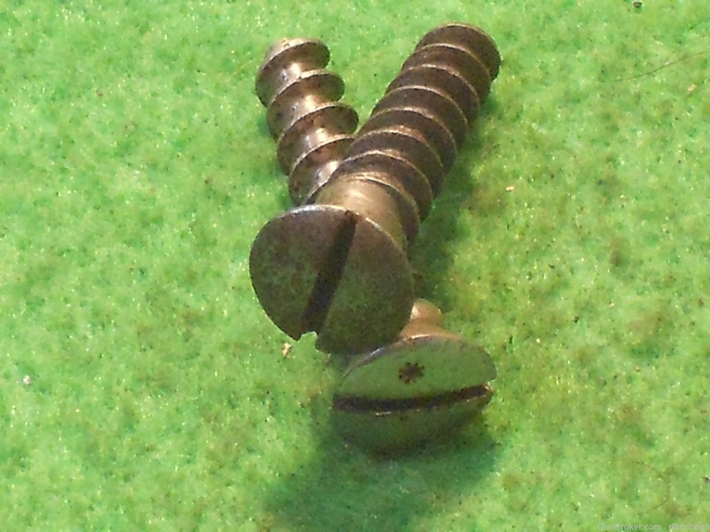 Two Argentine Mauser 1891 or 1909 Buttplate Screws-img-3