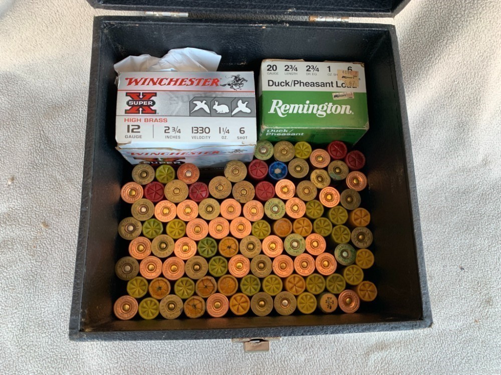 COLLECTION OF HIGH BRASS 20GA & 12GA AMMO IN CARRY BOX-img-1