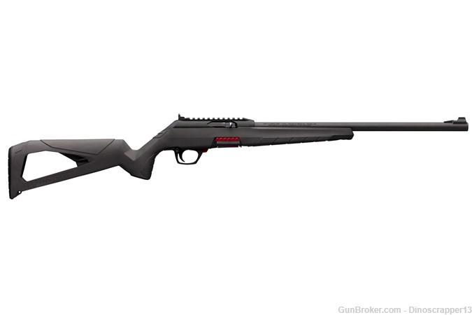 WINCHESTER WILDCAT 22 LR NO CC FEES-img-0