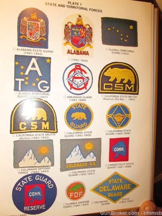 CLOTH INSIGNIA OF THE U.S. STATE GUARDS & STATE DEFENSE FORCES-img-10