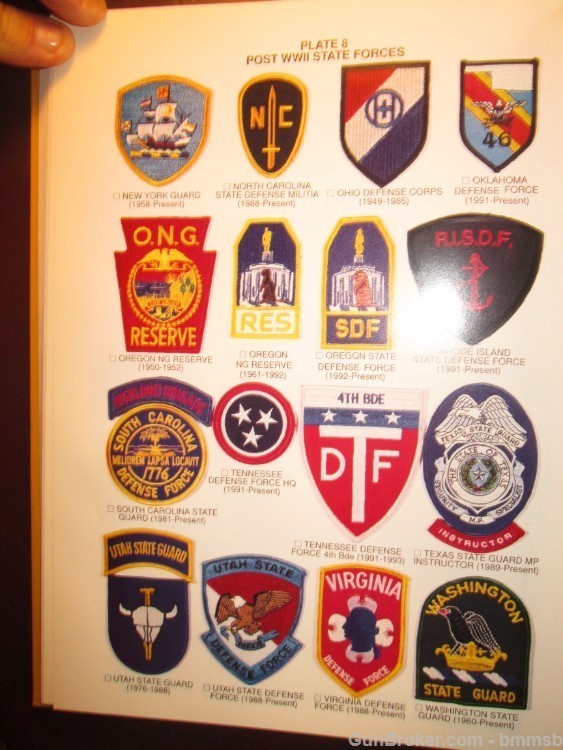 CLOTH INSIGNIA OF THE U.S. STATE GUARDS & STATE DEFENSE FORCES-img-14