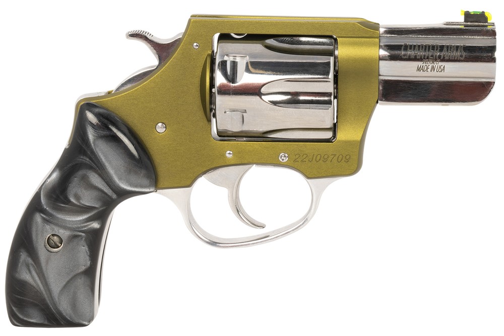 Charter Arms Undercover II Large 38 Special, 6 Shot 2.20 High Polished Stai-img-0