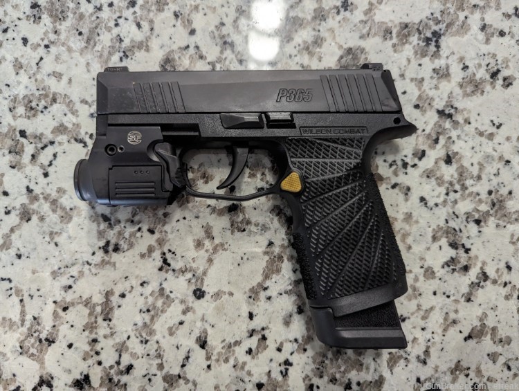 Modified Sig P365X with Surefire XSC, Holster, 17 Magazine, and Wilson grip-img-2