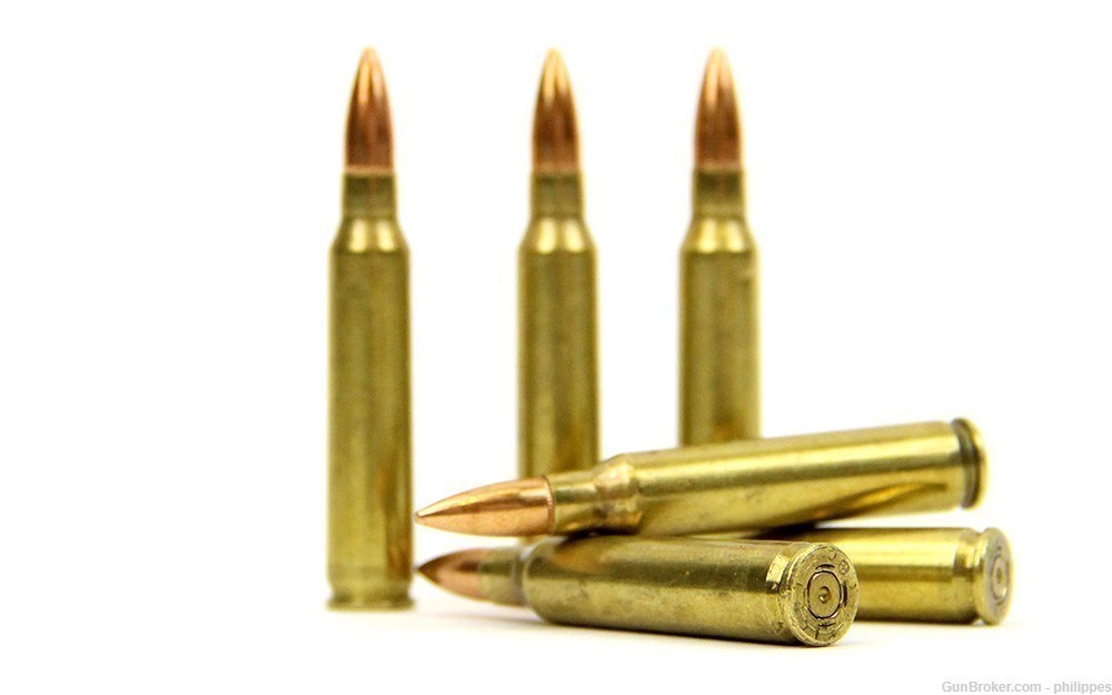 Dummy Training Ammo Rounds in 5.56 NATO and .223 Remington - 6 Rounds-img-1