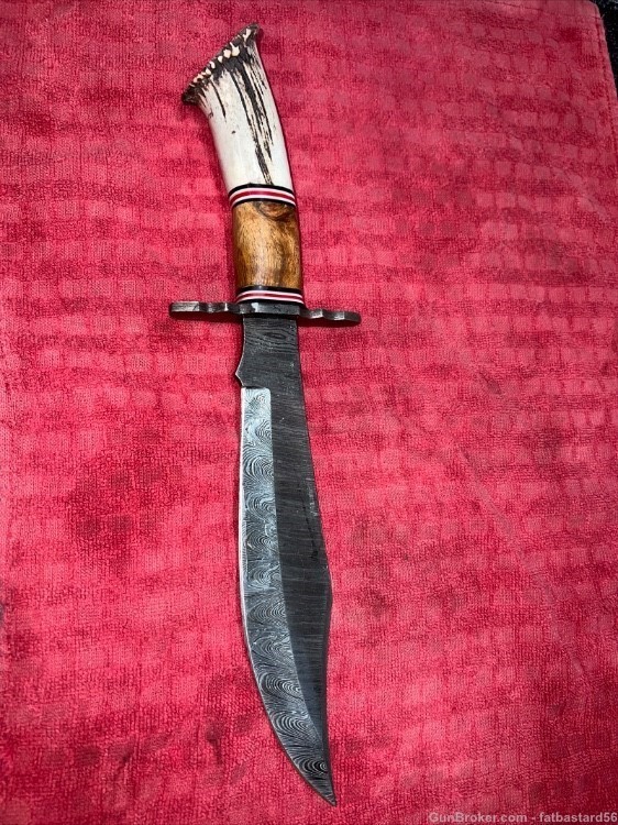 Damascus Steel Bowie w/Stag & Wood Grips-img-2